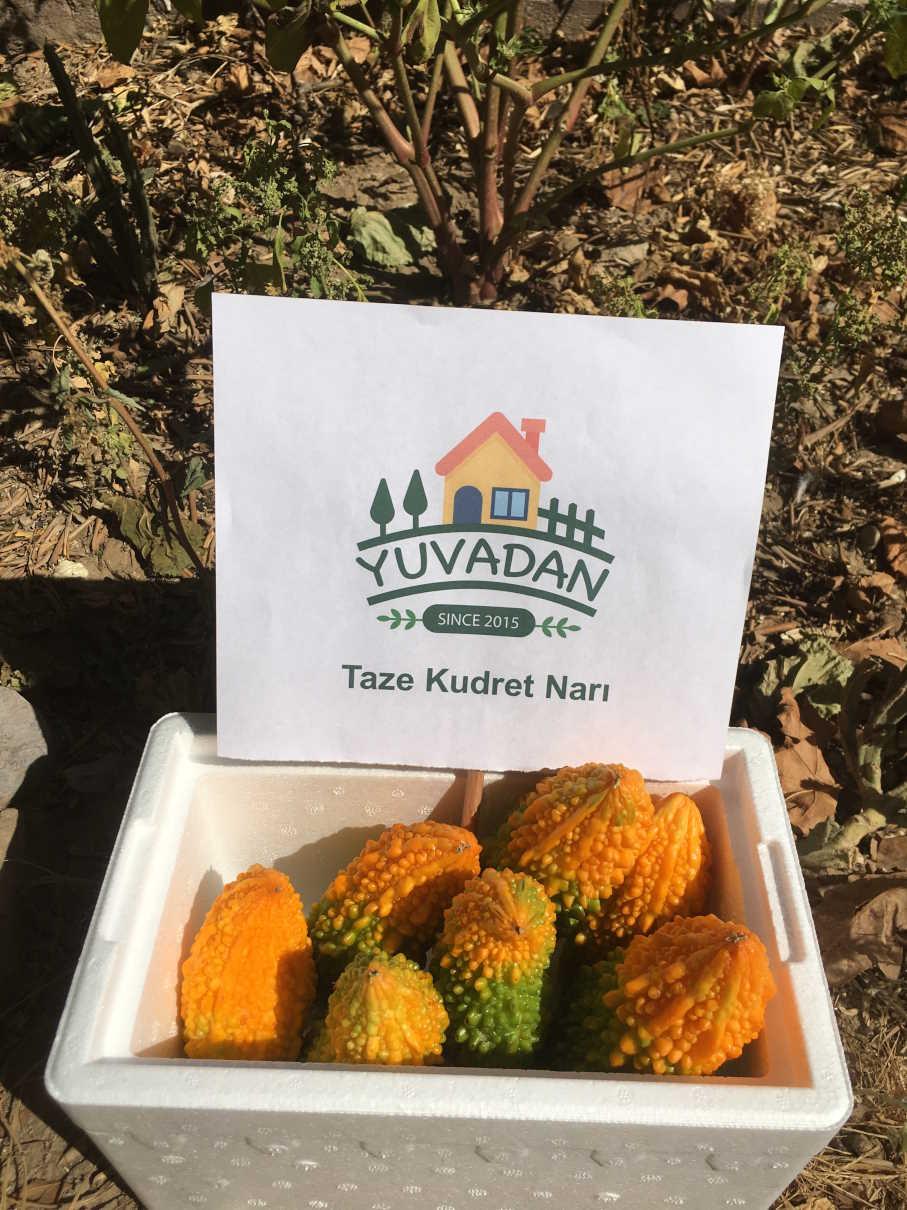 taze kudret narı - 1 kilo